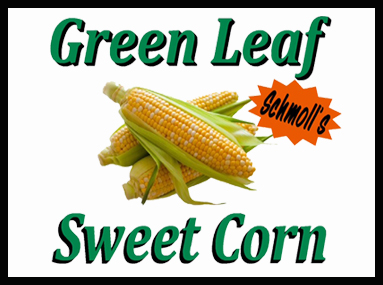 Green Leaf Sweet Corn