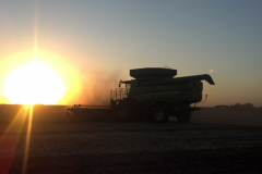 Bean Combine at Sunset