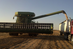 Bean Combine