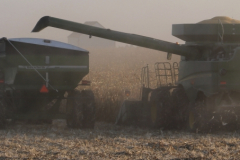Field Corn Combine and Cart
