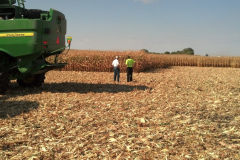 Larry and John Field Corn