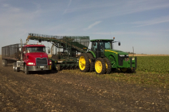 12 Row Sugar Beet Harvester