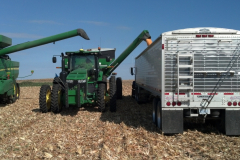 Corn to Truck