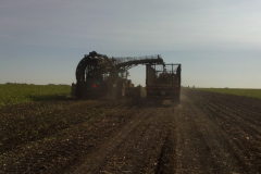 Rear View of 12 Row Harvester