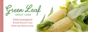 Green Leaf Sweet Corn